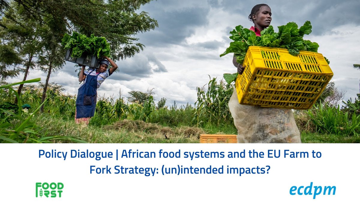 Policy Dialogue on African food systems and the EU Farm to Fork Strategy (un)intended impacts (1).jpg