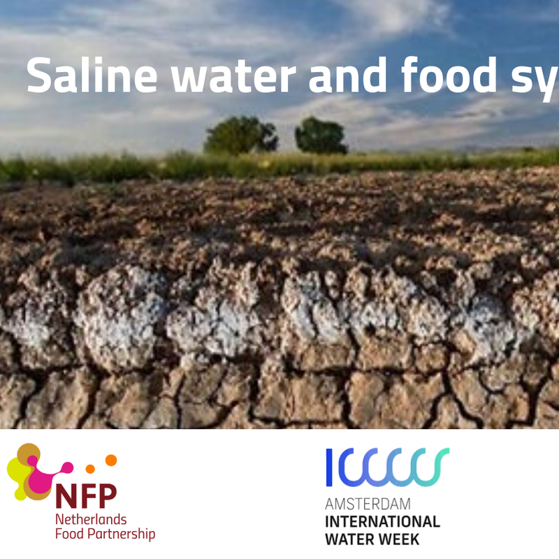 Saline water and food systems.png