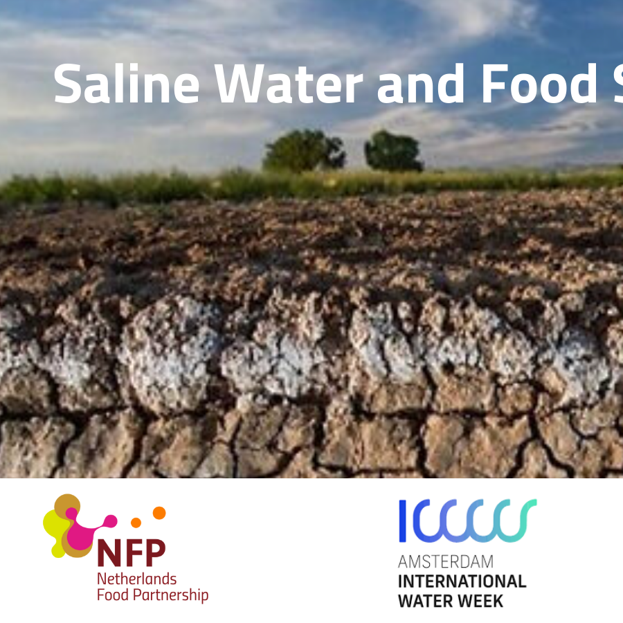 Saline water and food systems (1).png