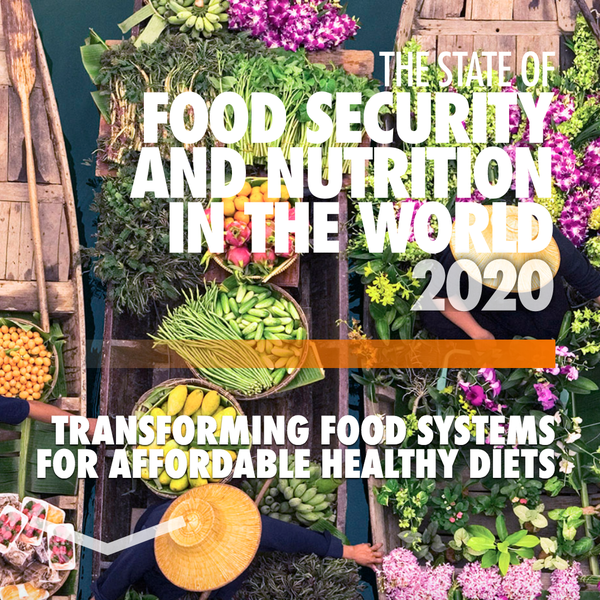 State of Food in world.png