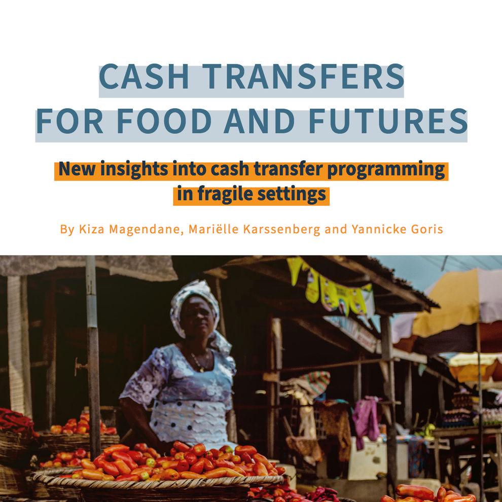 cash transfers for food and future.png