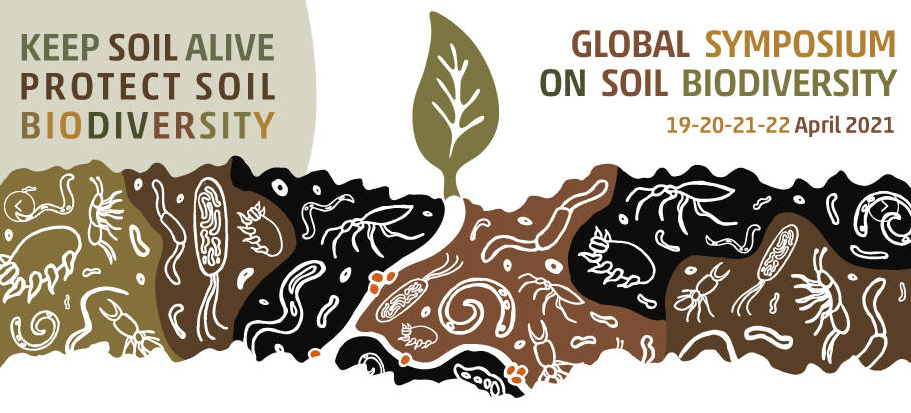 global symposium.png