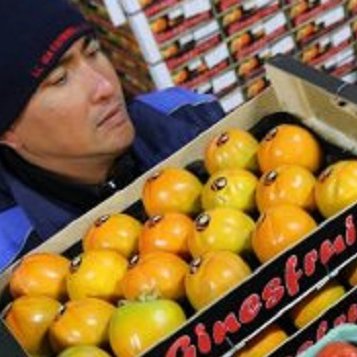Symposium Global Food System Transitions