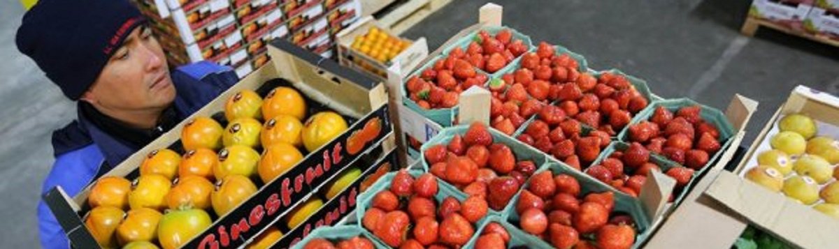 Symposium Global Food System Transitions