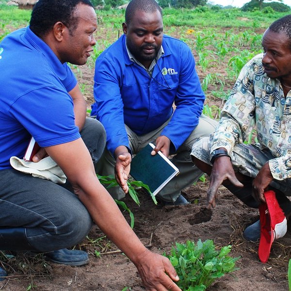 Human capacity building in horticulture in Africa