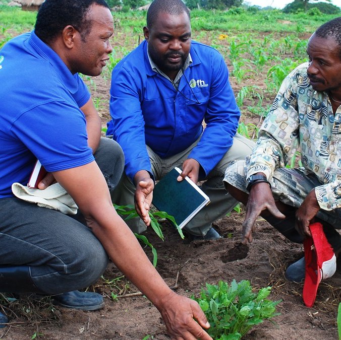 Human capacity building in horticulture in Africa