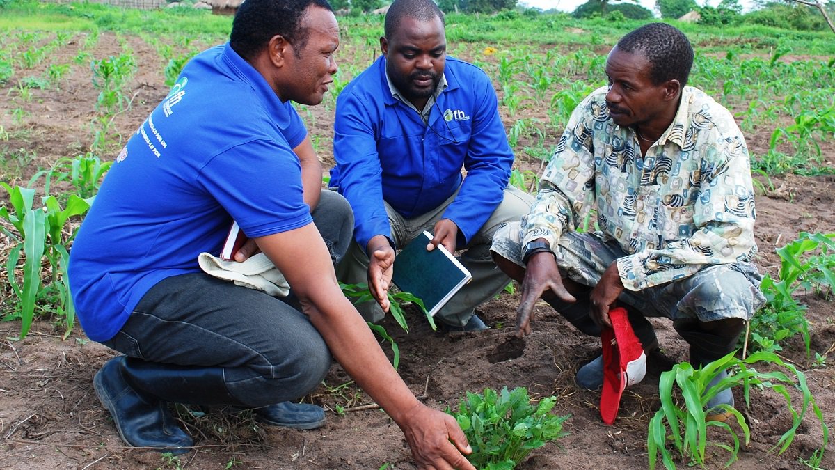 Human capacity building in horticulture in Africa