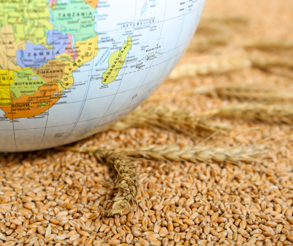 Globe Food