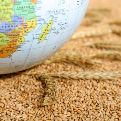 Food Globe