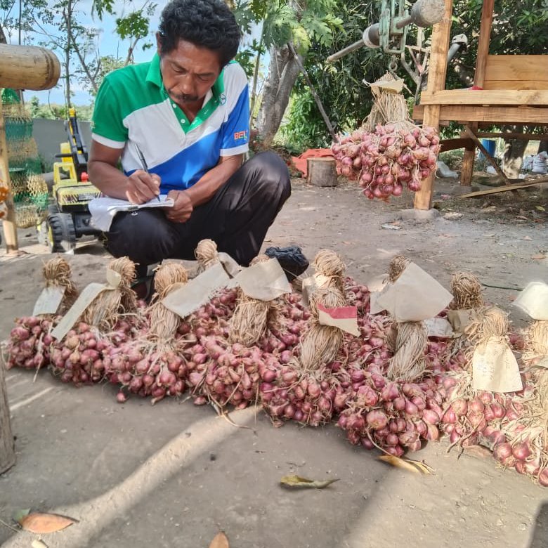 shallots pilot 1.jpeg