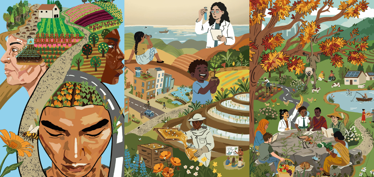 coming-up-for-the-NFP-Biodiversity-Food-Systems-Partnership-in-2026-6