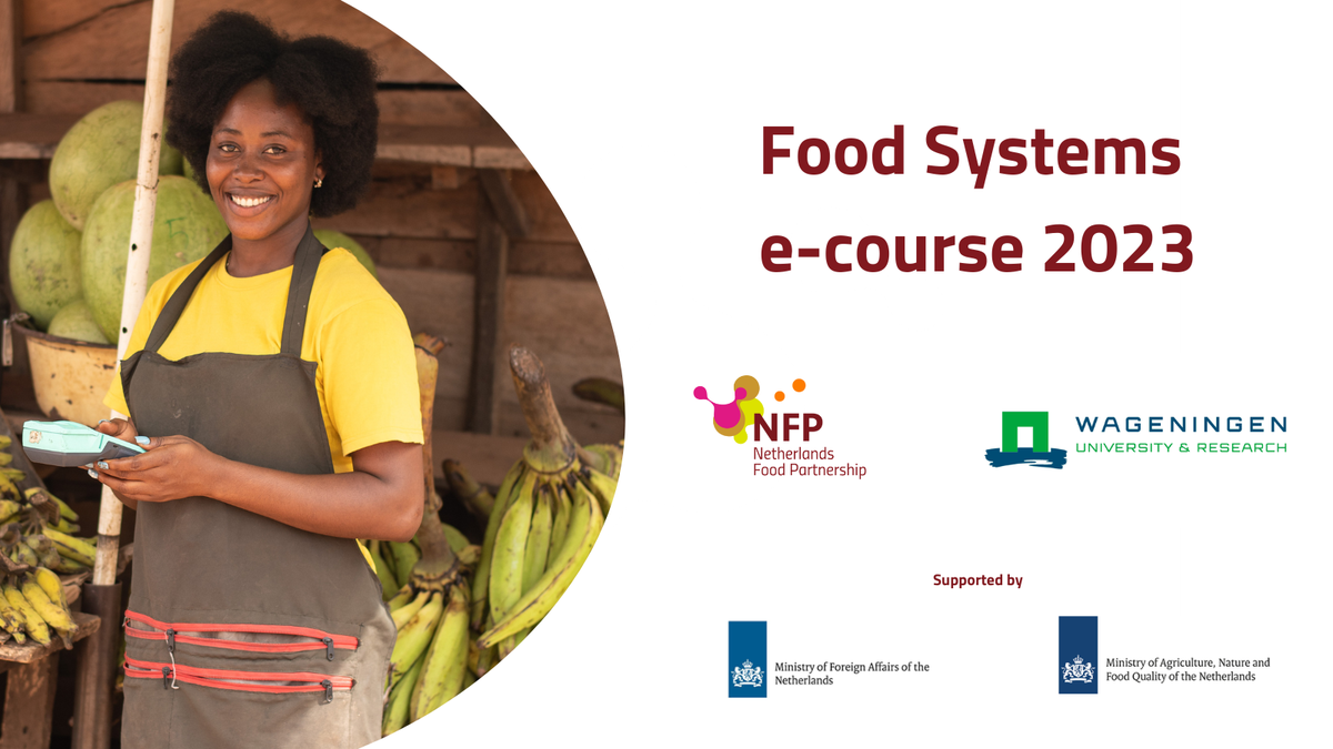 e-course visual
