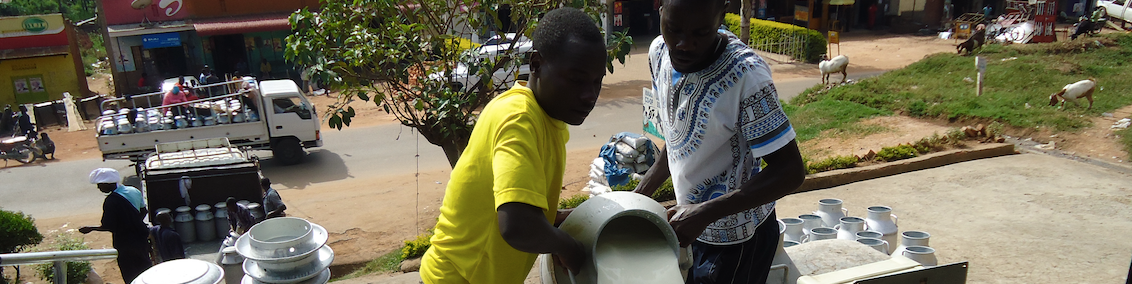Two men handling milk