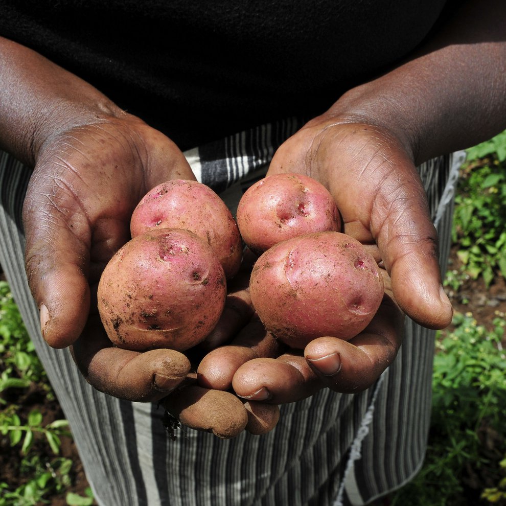 potatoes.jpg