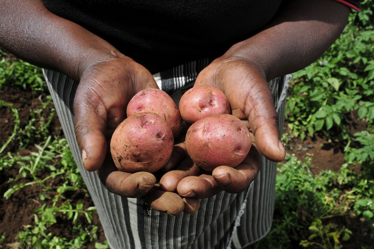 potatoes.jpg