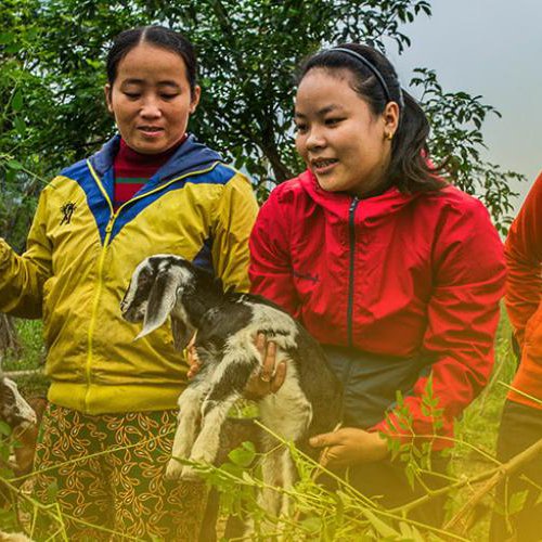 take-action-goat-women.jpg