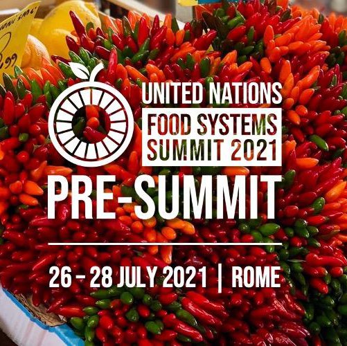 unfss_ps_banner-2_0.jpg