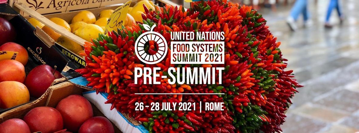 unfss_ps_banner-2_0.jpg