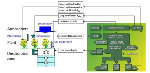 Figuur koppeling modflow metaswap wofost