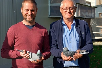 Afbeelding van BON 24 - Verstraete Youri & Marc (Ooigem)