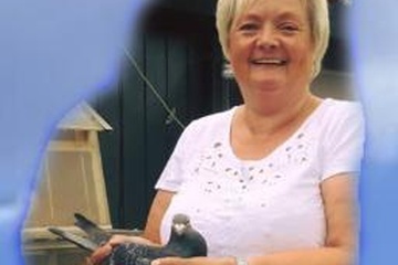 Afbeelding van BON 33  Sierens  Dina (Rumbeke)