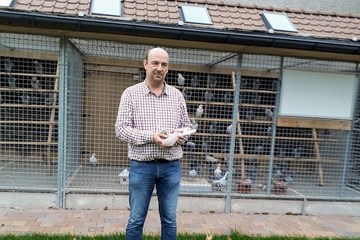 Afbeelding van BON 35 - Vannieuwenhuyze Tom (Lendelede)