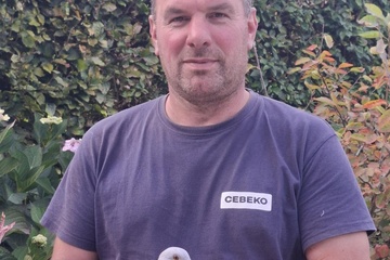 Afbeelding van BON 1  Baeckelandt Gerd-Bartel (Roeselare)
