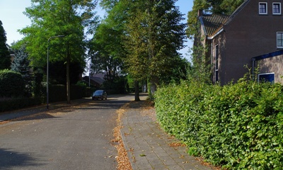Waldeck Pyrmontlaan Velp
