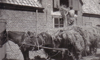 Boerderij  t Veentje