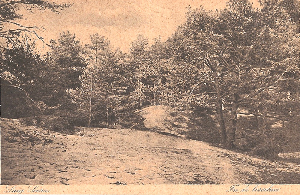 Jutberg