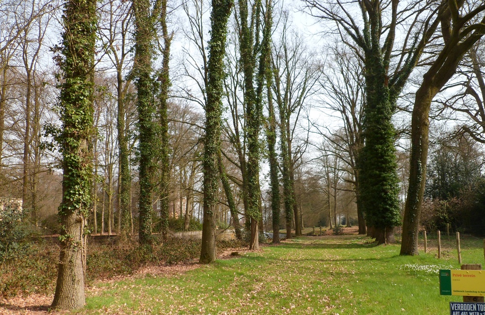 Laan ten zuiden van Biljoen