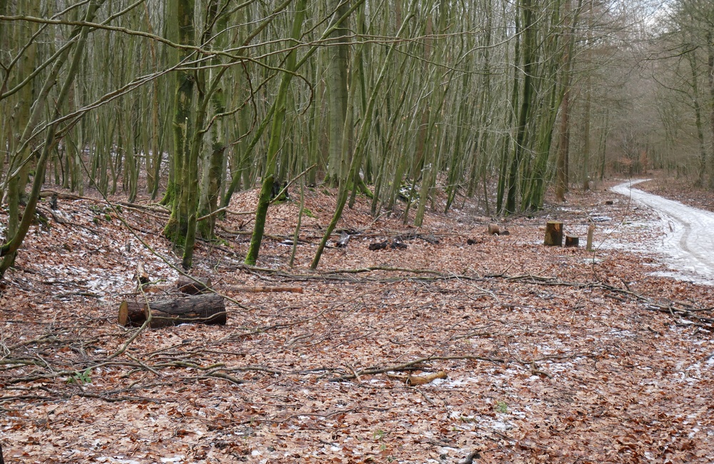 Voorbeeld omheining wildbaan