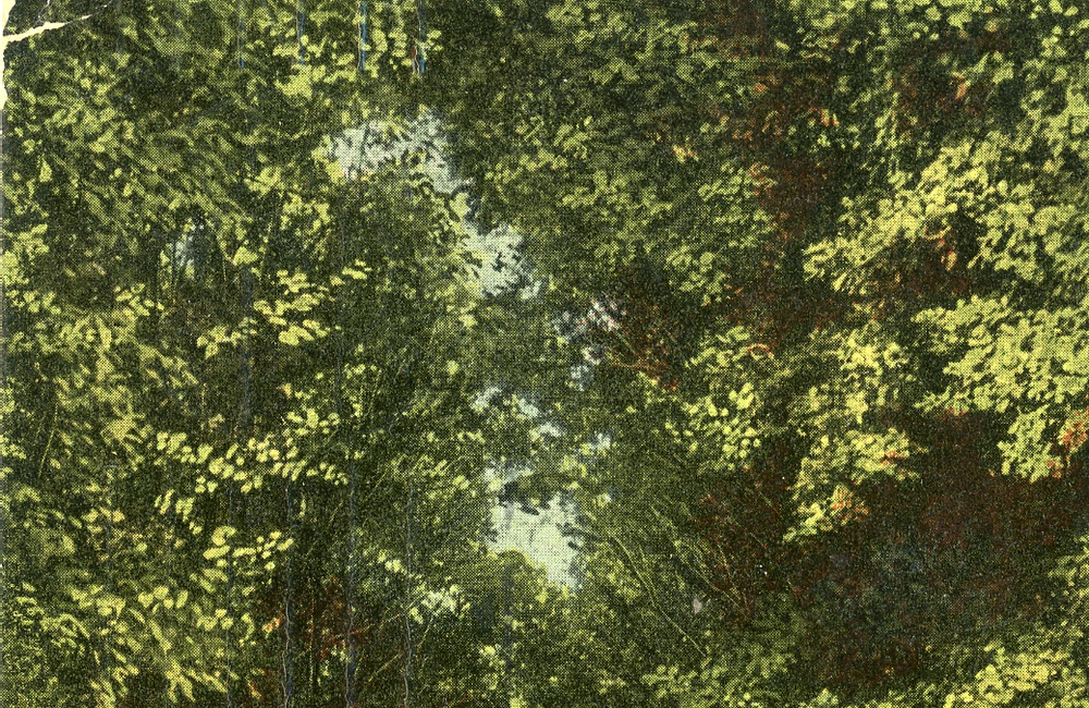 Rosendaalselaan ca 1900