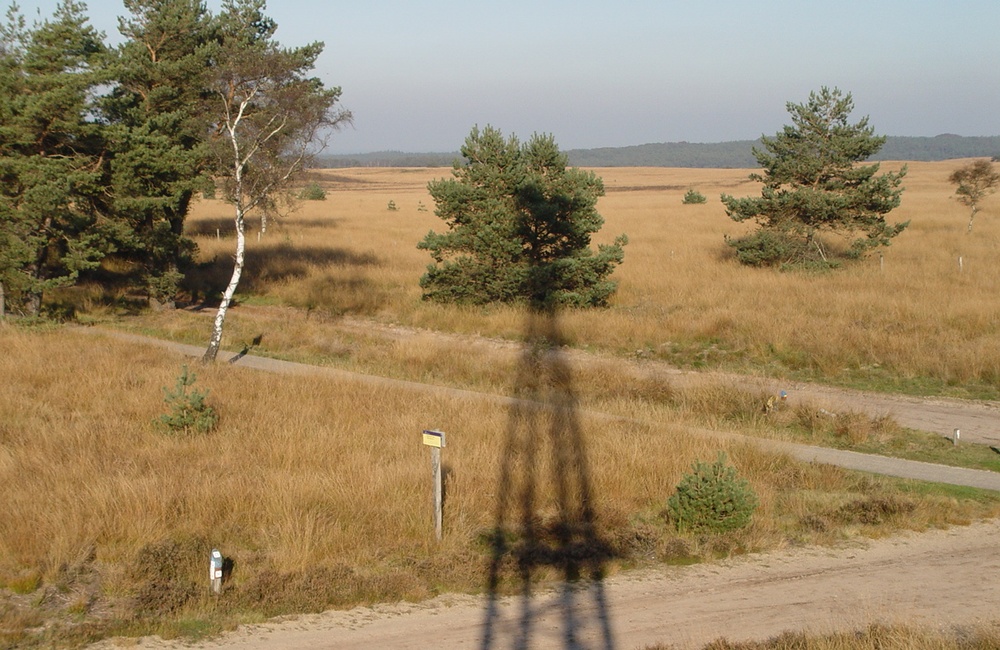 Worth Rhederheide - 2012