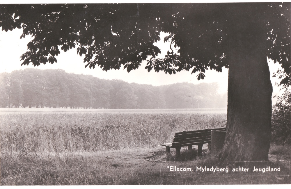 Panorama vanaf de Mylady"sberg - 1953