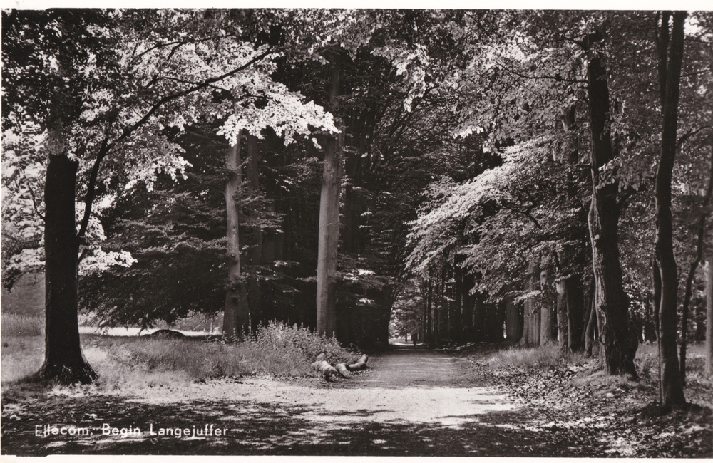 De Lange Juffer - 1955