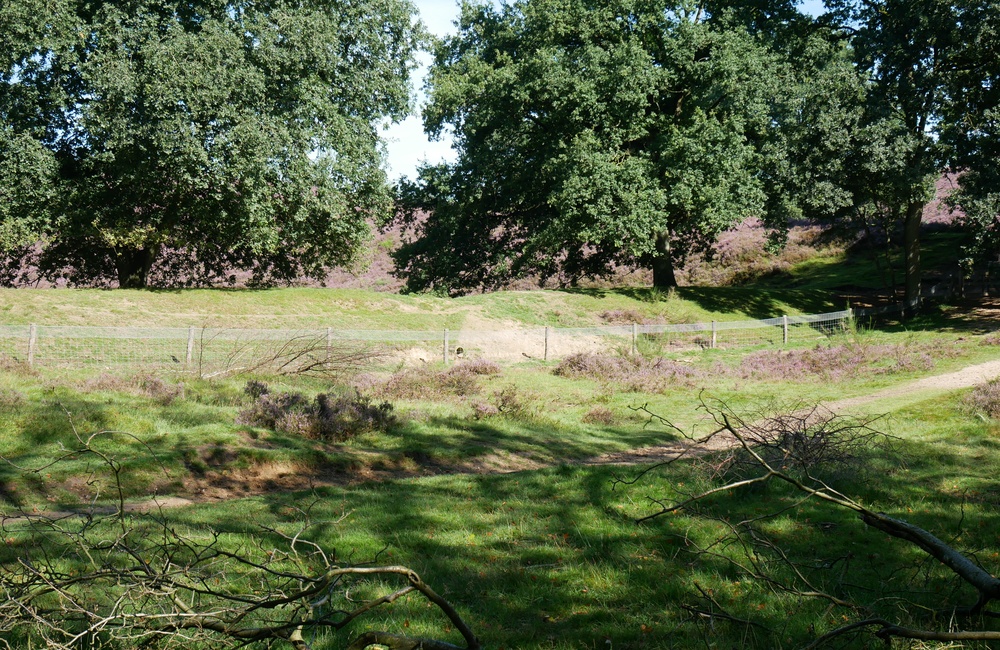Waterkering Heuven, zuidelijke dam - 2016
