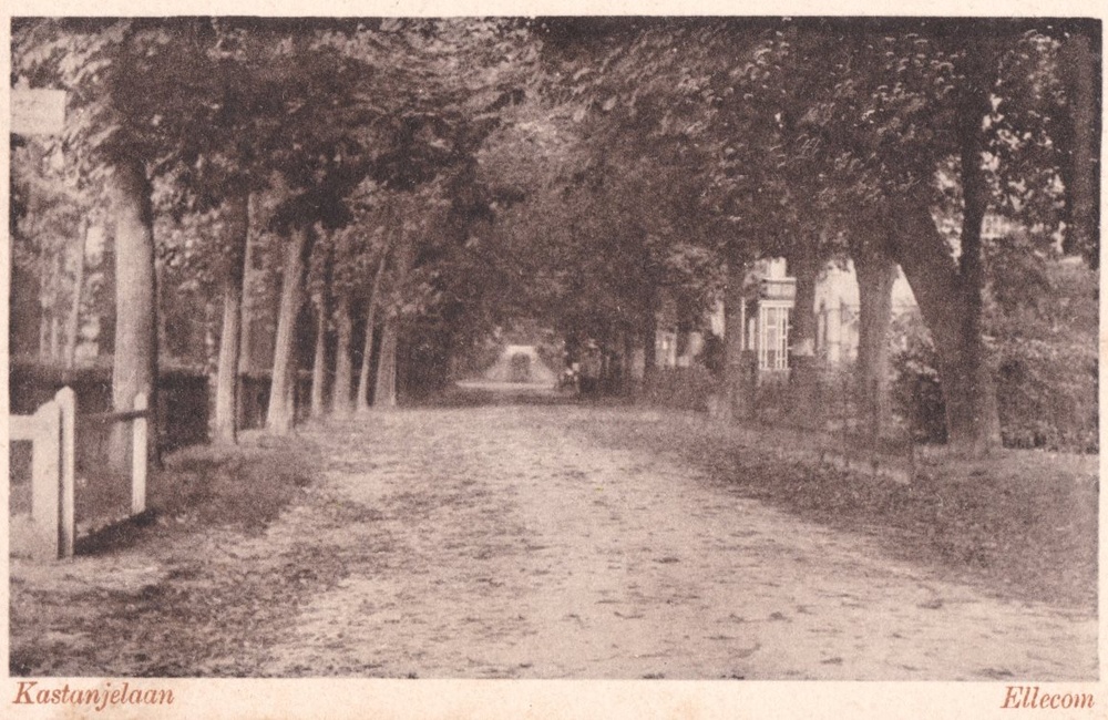 Kastanjelaan als zandweg - 1905