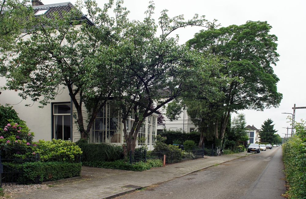 Linkerzijgevel 2016