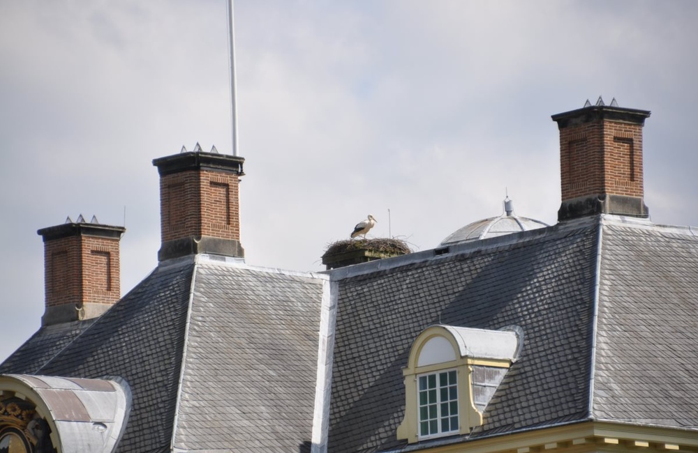 Kasteel Middachten - 2012