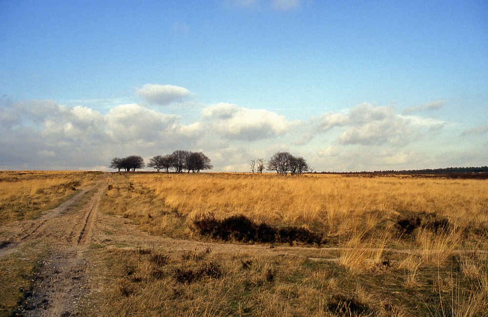 Hessengat -1994