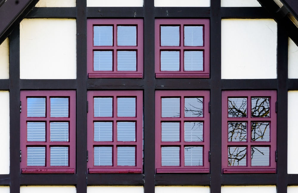 Detail raampartij Villa Zandbergen - 2016