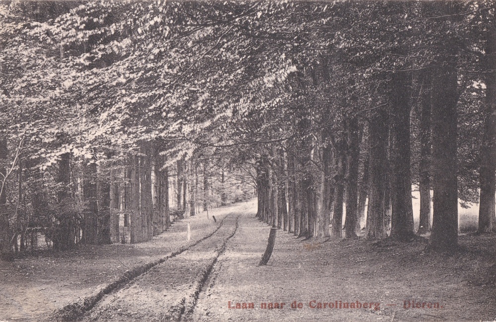 Carolinaberg - 1917