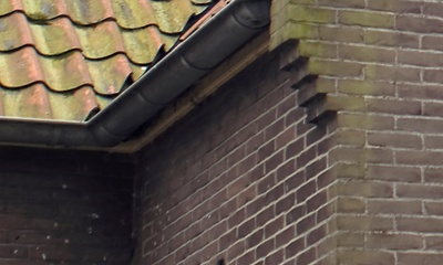 Detail dak