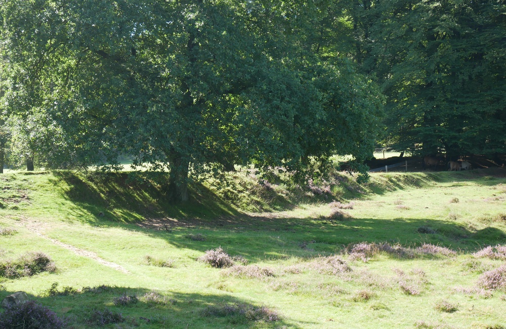 Waterkering Heuven - 2016
