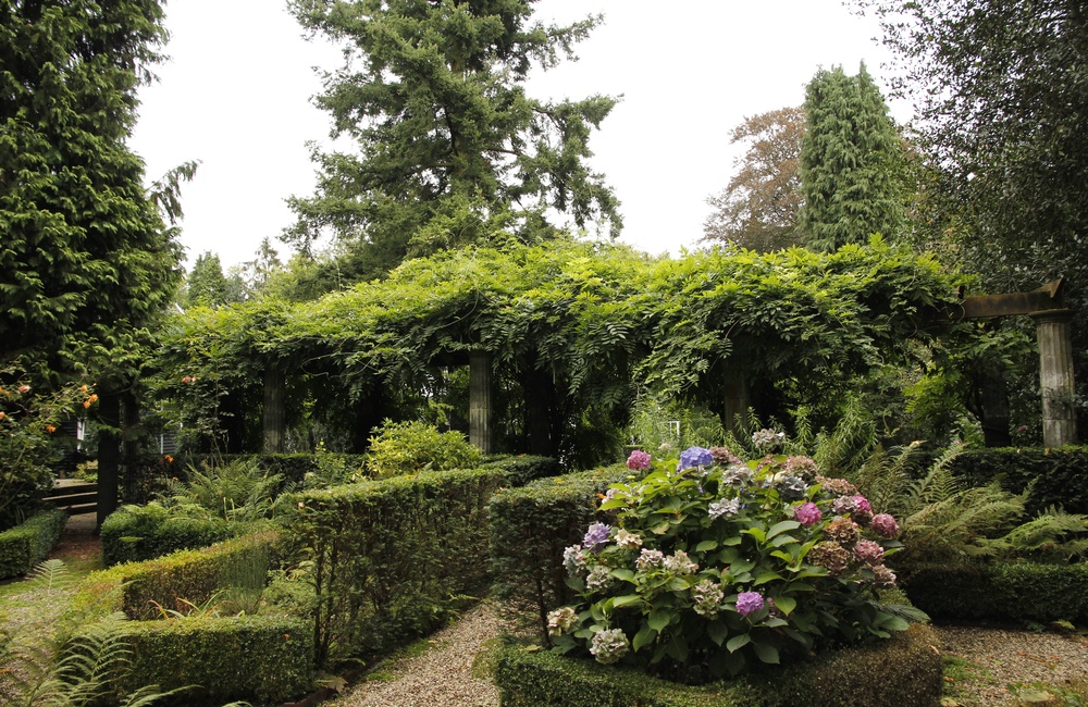 Tuin Rozenhof 2020