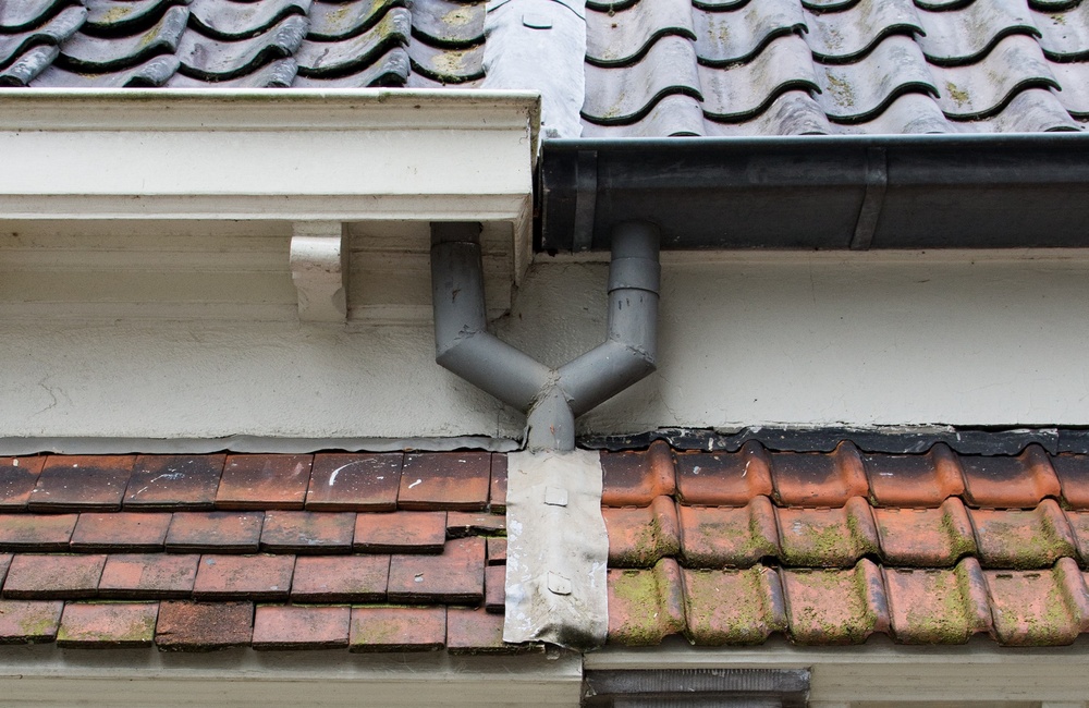 Detail voorgevel - 2016