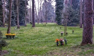 Complex Crematorium