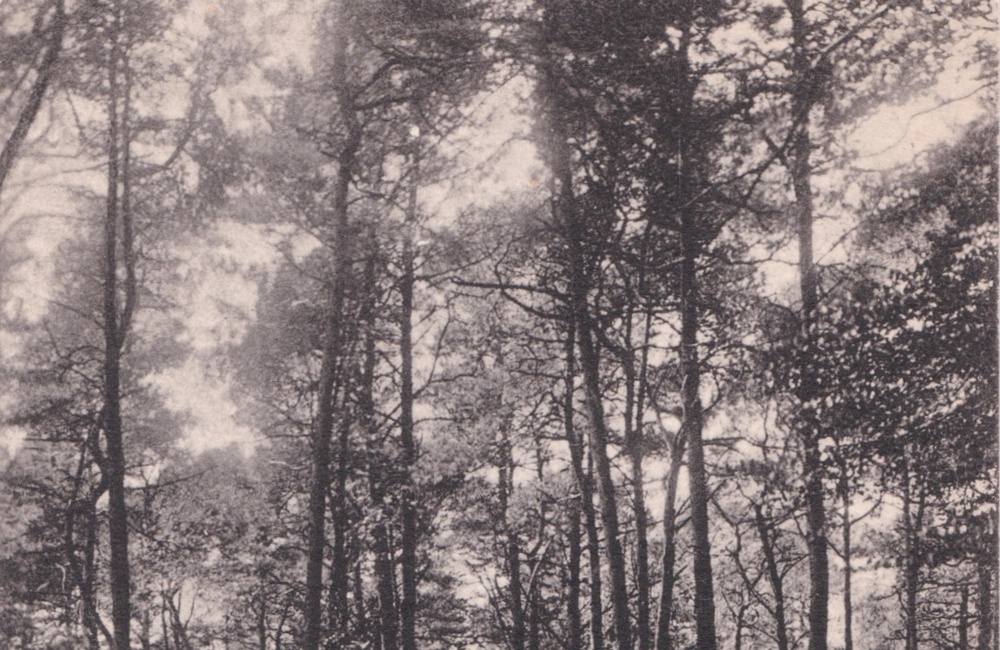 Kijkover - 1932