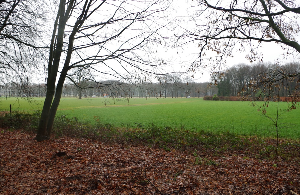 Biljoen tuin en park